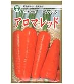 にんじん・じん 楽天市場】たね 横浜植木 ニンジン にんじん 人参 ゆめはま五寸